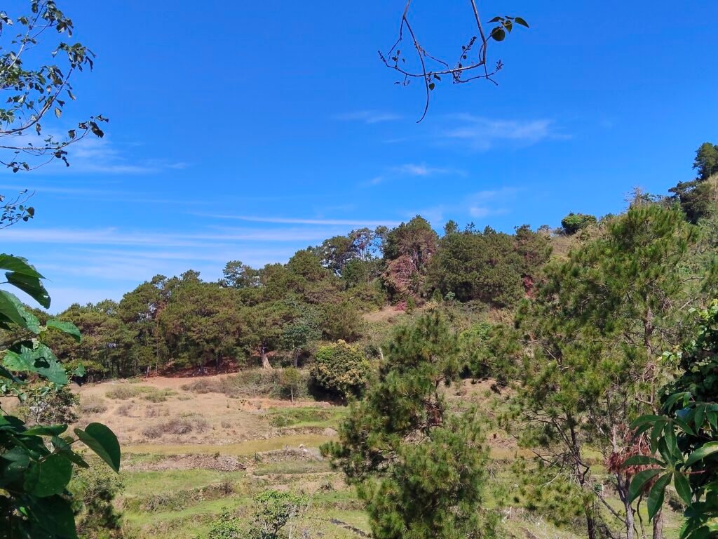 Still Less Than Halfway Through Our Road Trip oplus 8388610