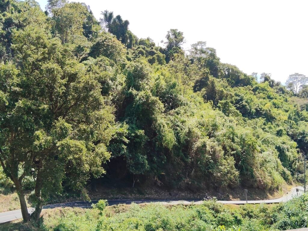 Discovering Cervantes: A Must-Stop on Our Road Trip oplus 8388610