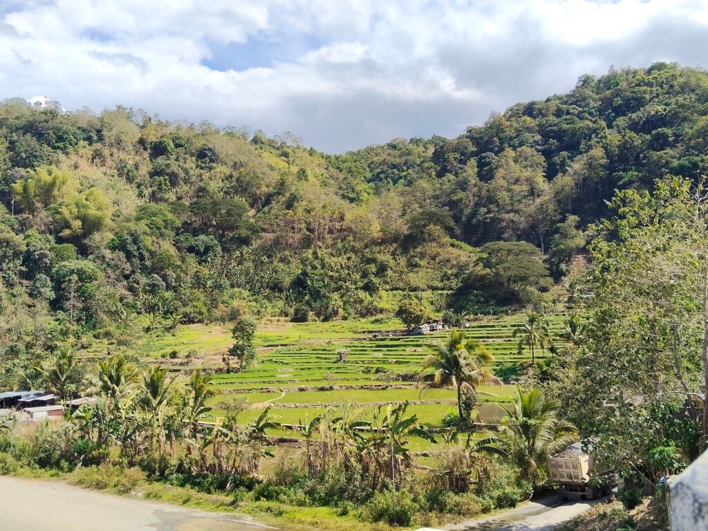 Still Less Than Halfway Through Our Road Trip oplus 8388610