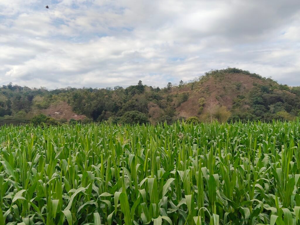 Gazing Upon the Breathtaking Beauty of Abra River oplus 8388610