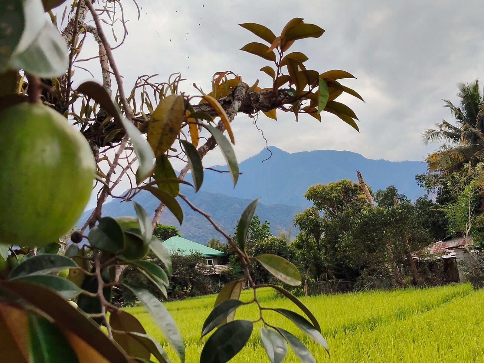 Gazing Upon the Breathtaking Beauty of Abra River oplus 8388642