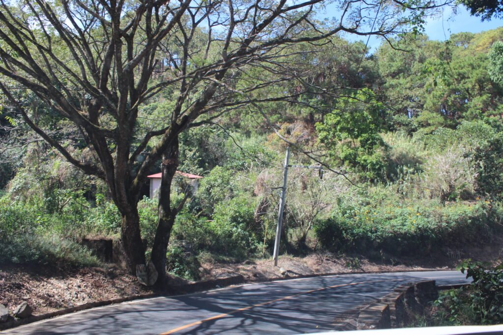 Discovering Cervantes: A Must-Stop on Our Road Trip img 8948