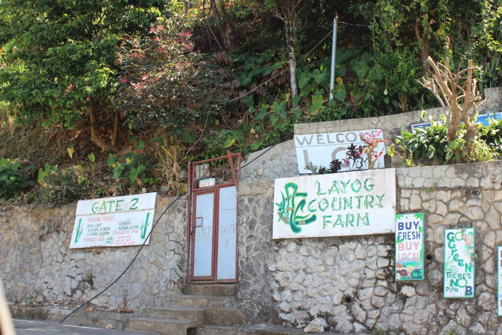 Still Less Than Halfway Through Our Road Trip img 8957