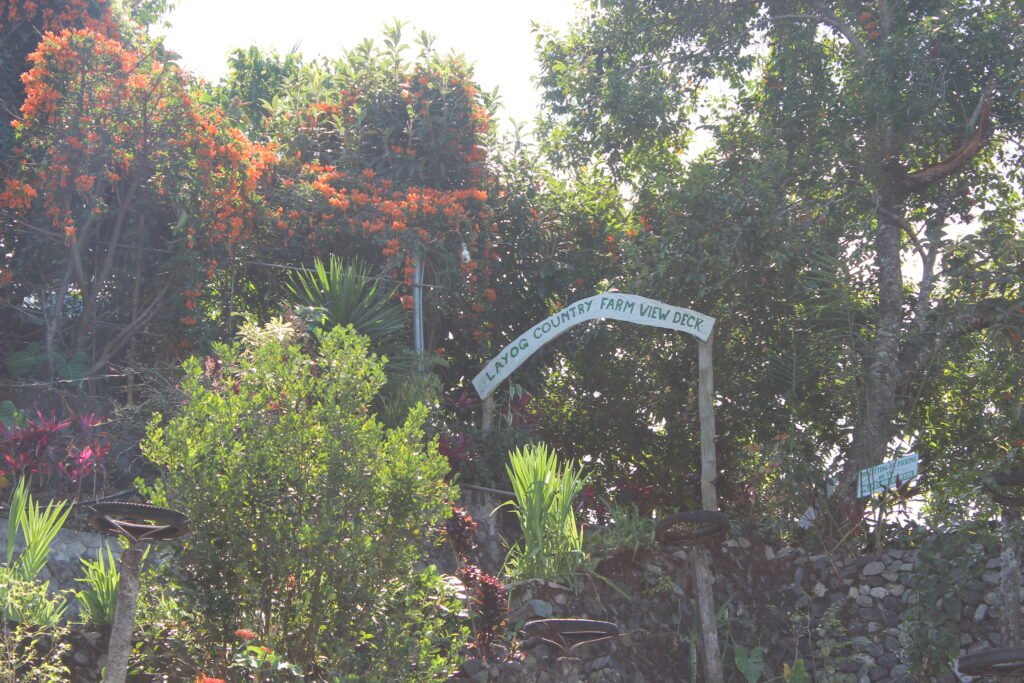 Still Less Than Halfway Through Our Road Trip img 8962