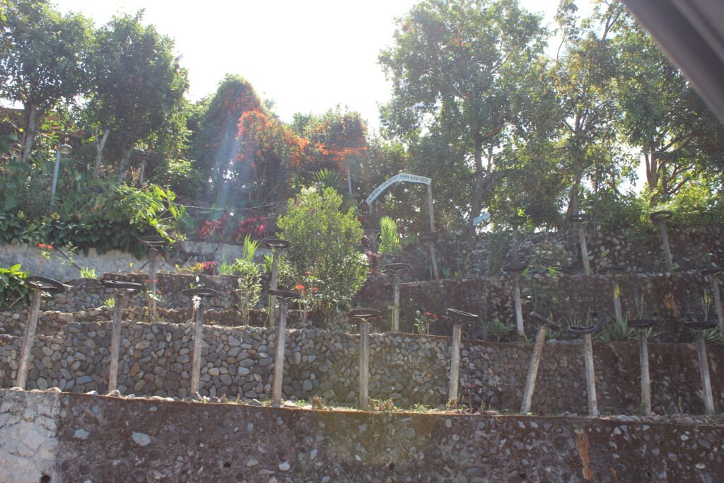 Still Less Than Halfway Through Our Road Trip img 8963