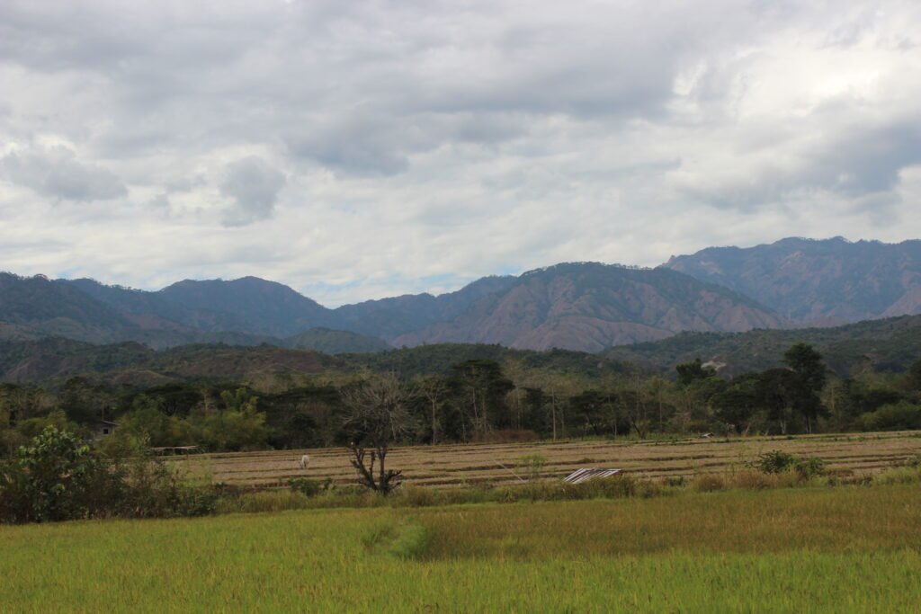 Gazing Upon the Breathtaking Beauty of Abra River img 9304
