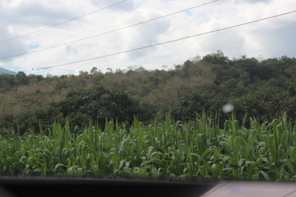 Gazing Upon the Breathtaking Beauty of Abra River img 9343